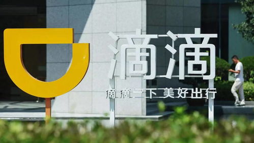 发行价在网络信息技术服务中的价值与策略建议
