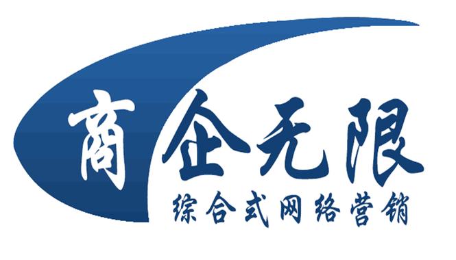 计算机软硬件技术开发与综合信息服务战略框架